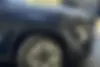 فونیکس،  FX EV