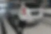 رنو  داستر