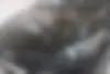 فونیکس، آریزو 6 پرو