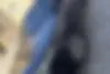 کیا،  اپتیما