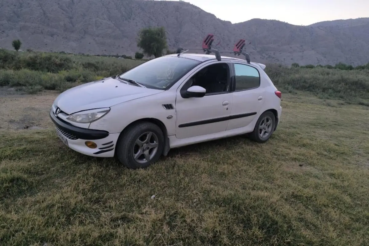 پژو،  206