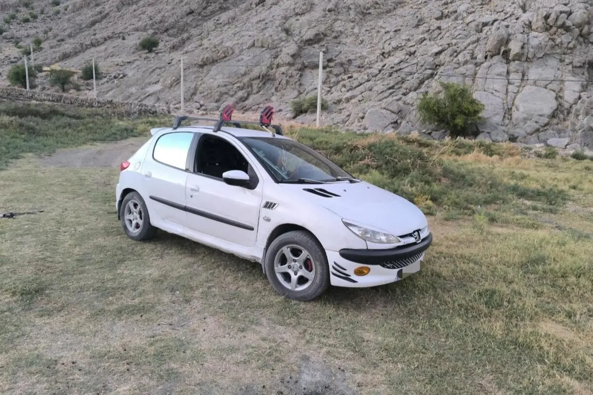 پژو،  206