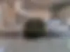 جی ای سی،  امپو