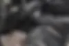 لاماری  ایما