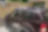 رنو  داستر