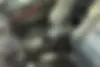 فونیکس،  تیگو 7 پرو