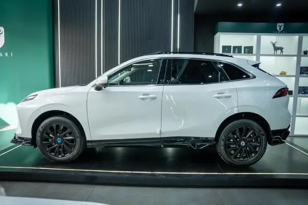 لاماری، ایما