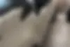 رنو  کپچر
