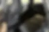 فونیکس  FX