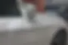 هوندا،  آکورد