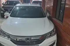 هوندا، آکورد
