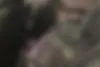 کیا،  سراتو (مونتاژ)