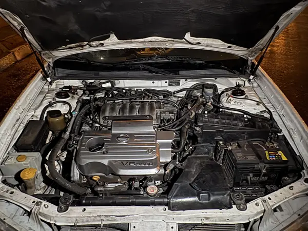 نیسان، ماکسیما