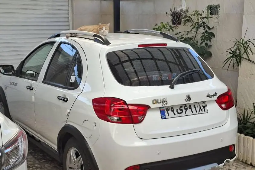 کوییک،  اتوماتیک پلاس