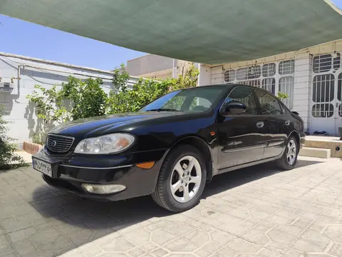نیسان، ماکسیما