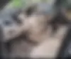 رنو،  فلوئنس