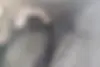 فونیکس،  آریزو 6 پرو