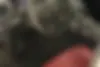 لکسوس،  IS