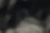 دیگنیتی  پرستیژ