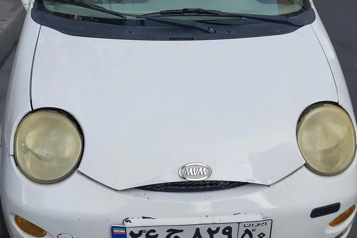ام وی ام،  110