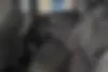 فونیکس  FX