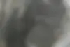 فونیکس  FX