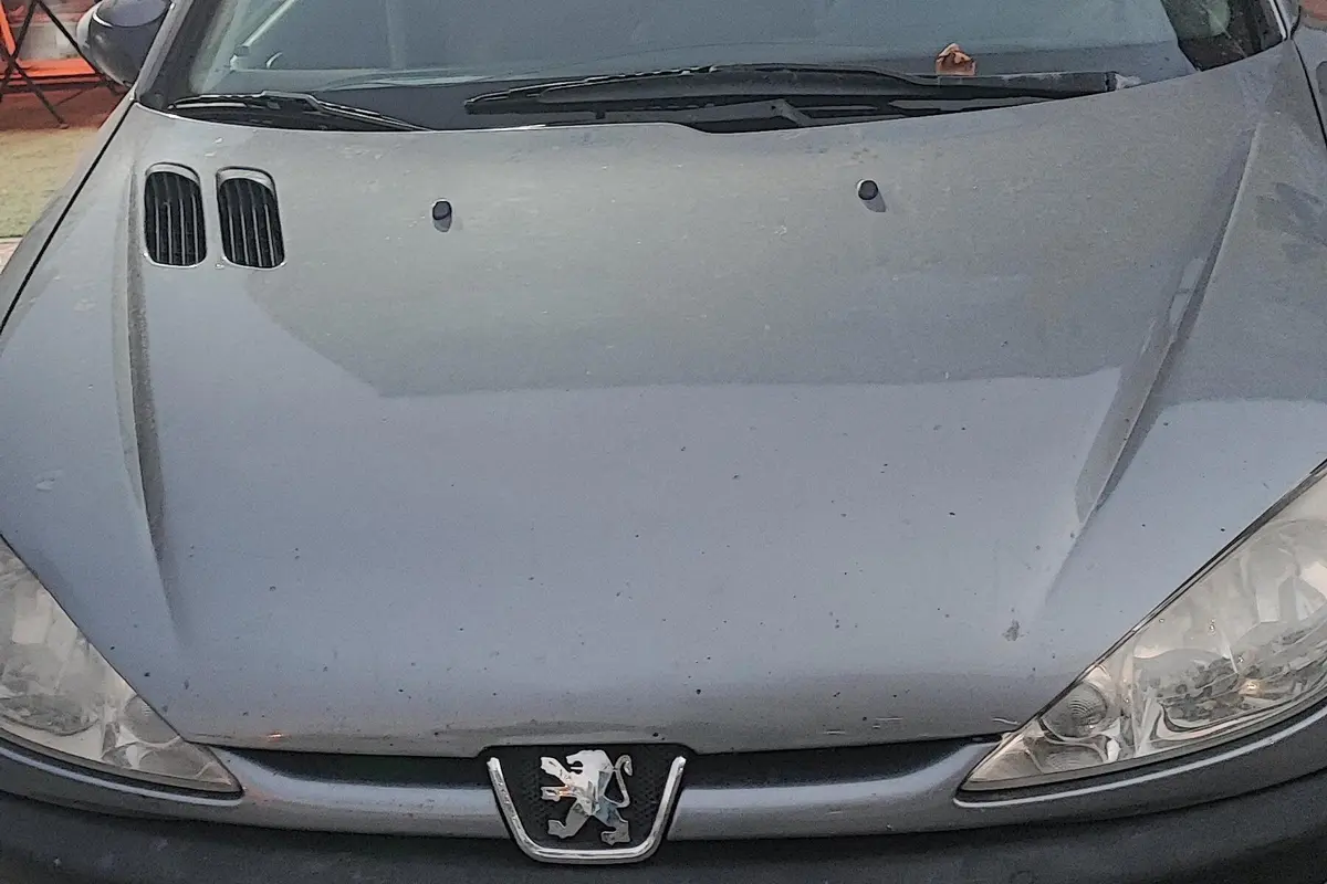پژو،  206 SD