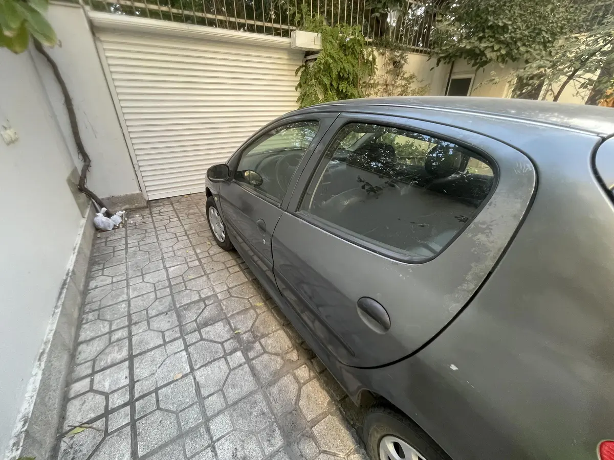 پژو،  206