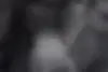 لاماری،  ایما