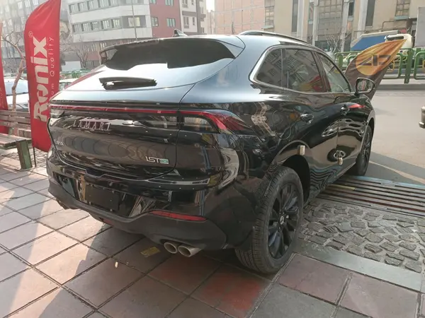 لاماری، ایما