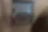 ام وی ام،  530
