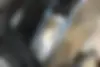 دنا،  پلاس EF7