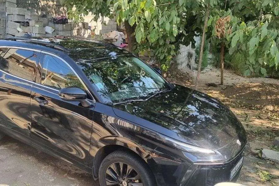 لاماری،  ایما