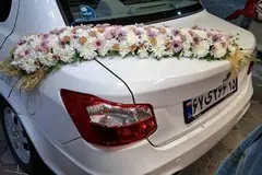 ساینا، S