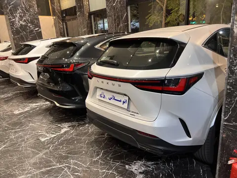 لکسوس، NX