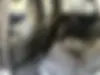فونیکس  FX