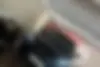 لاماری،  ایما