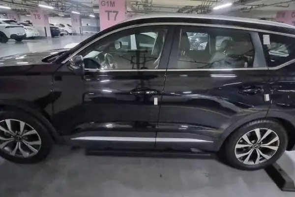 فونیکس، تیگو 7 پرو