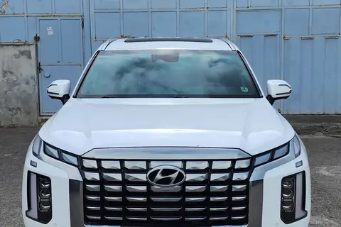 هیوندای، پالیسید