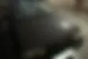 پراید، 131