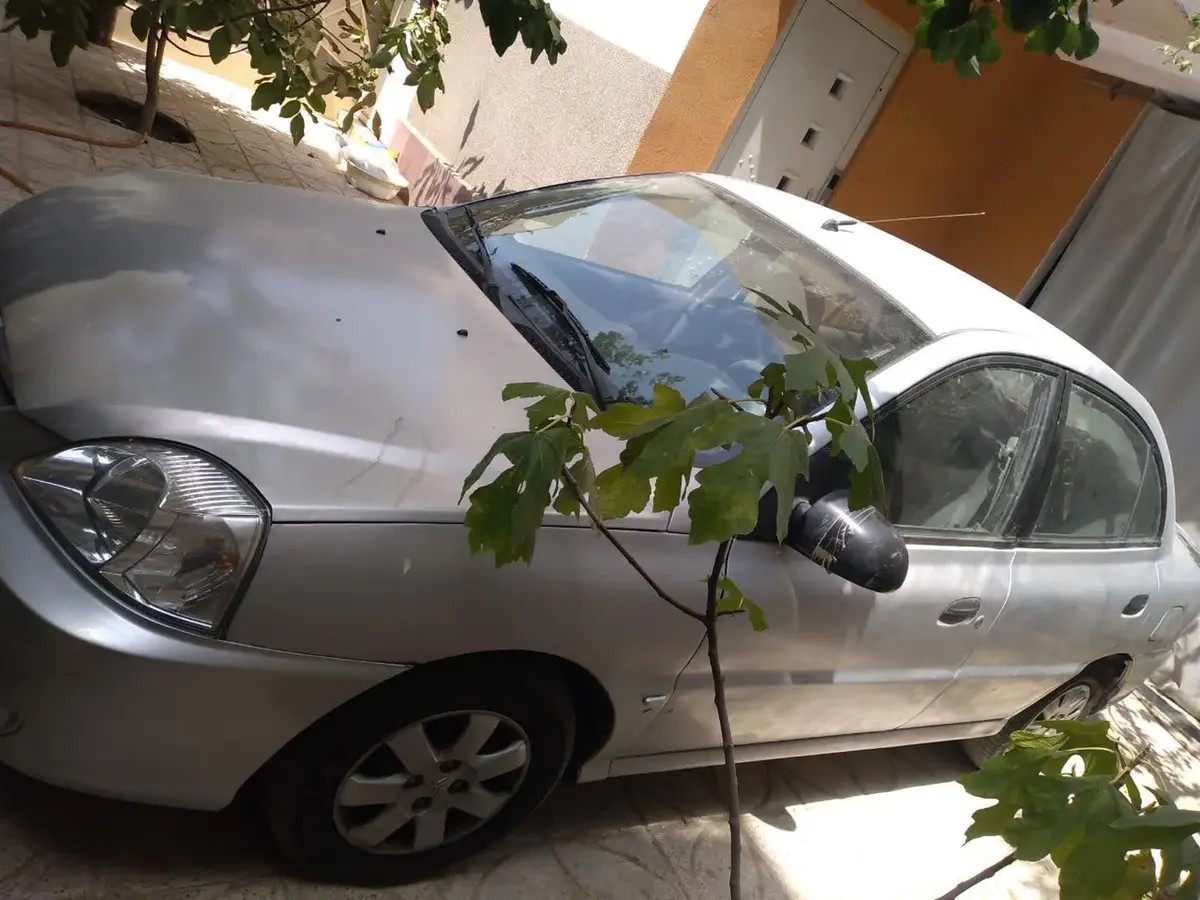 کیا،  ریو (مونتاژ)