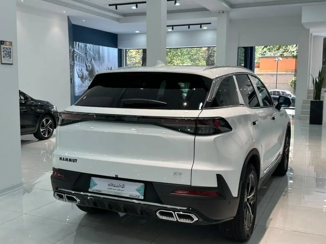 بیجینگ،  X7