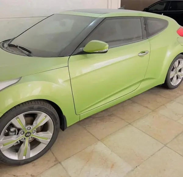 هیوندای، ولستر