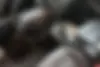 کیا  سراتو