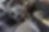 دنا  پلاس EF7