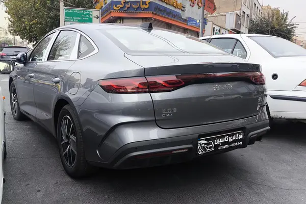 بی وای دی، چین L