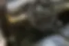 لاماری،  اکو