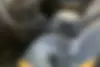 لاماری،  اکو