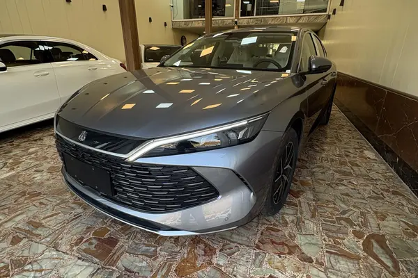 بی وای دی، چین L