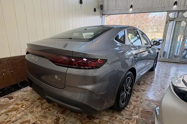 بی وای دی، چین L